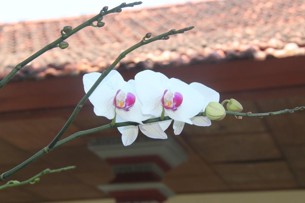 Pondok Hasan Nusa Dua  Extérieur photo