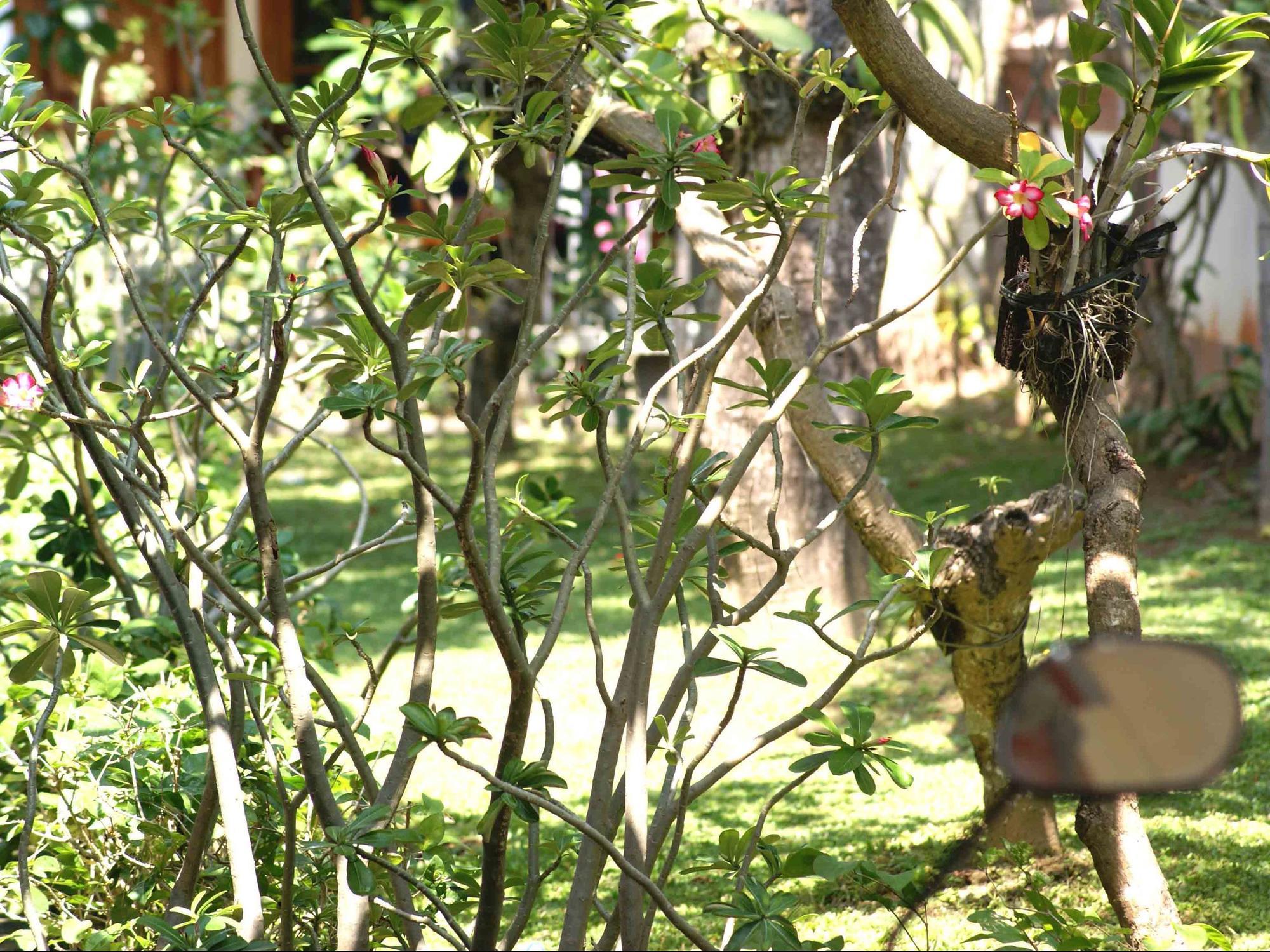 Pondok Hasan Nusa Dua  Extérieur photo