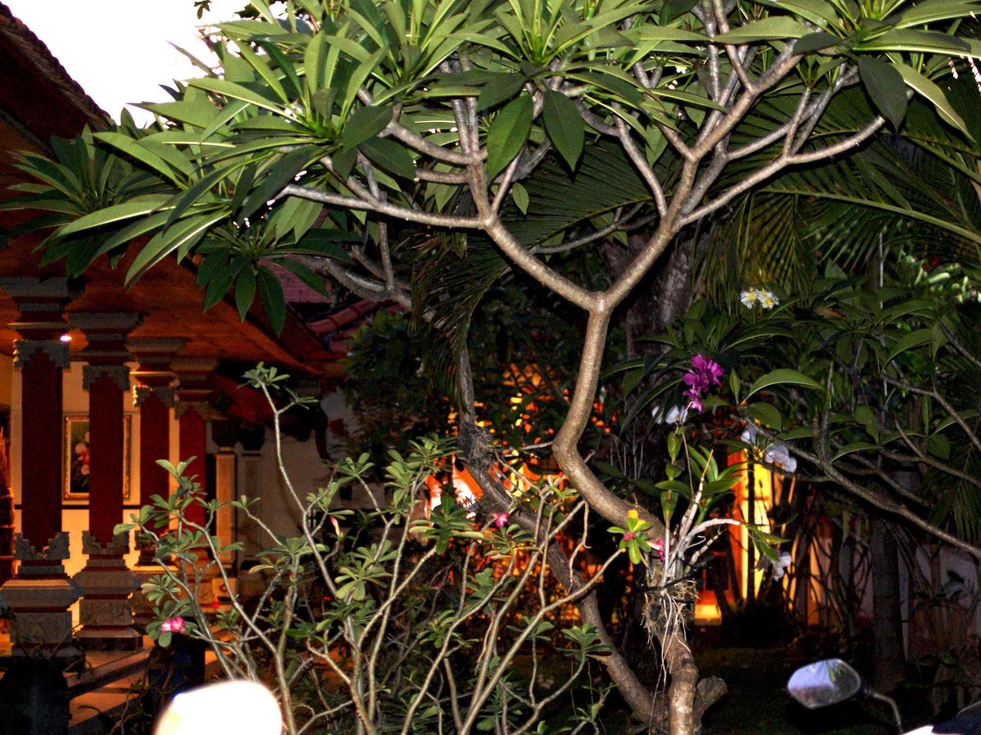 Pondok Hasan Nusa Dua  Extérieur photo